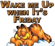 wake me up when its friday