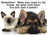 You are just a guest