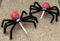 Spider pops