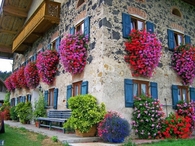Garden Windows