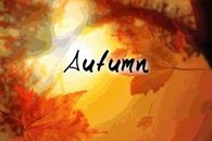 Autumn Pictures Gif