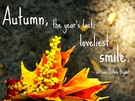 Autumn Quote