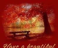 Have a beautiful autumn season