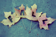 Fall Leaves Cut-out