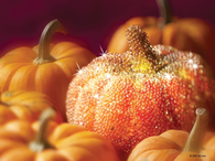 Sparkly Pumpkin