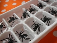 Spider ice cubes