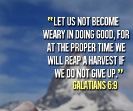 We will reap a harvest if we do not give up