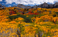 Breathtaking Autumn Foliage