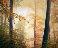 Bound for winter