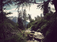A break in the trees