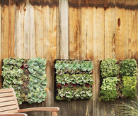 Small Garden Ideas