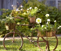 Old Bike Garden
