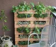 Simple Palette Garden