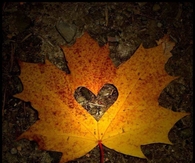 Autumn Leaf Heart