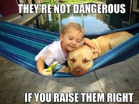 They're not dangerous 