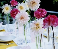 Parade of blooms
