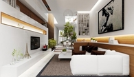 Space conscious living room