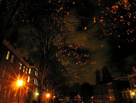 Autumn at night
