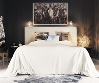 Organic rustic style bedroom