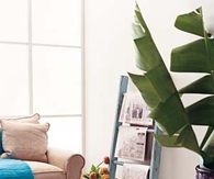 Ladder as a magazine rack