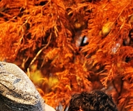 autumn kiss