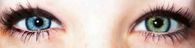 Blinking eyes