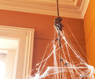 Webbed Chandelier