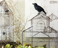 Spooky Cages
