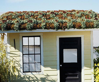 Green roof garden