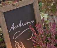 Autumn
