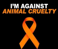 Im against animal cruelty