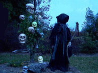 Skulls and the grim reaper