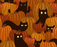 Black cats and pumpkins