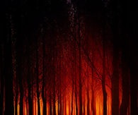 Evil forest