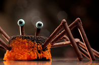 Large spider pastry