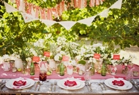 Vintage picnic party