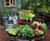 small garden idea