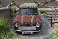 Car Garden