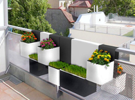 Balcony Gardening