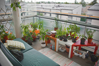 Balcony Gardening