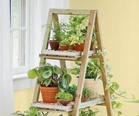 Shelf Garden