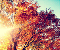 A taste of Autumn