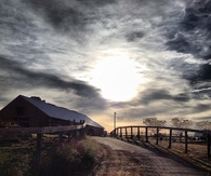 Farmland