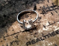 Horseshoe ring