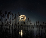 Full moon