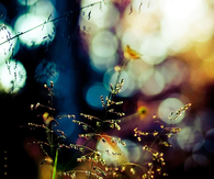 Natural bokeh