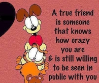 a true friend