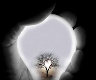 Illumination