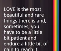 Love is the most beautiful and rare thing there is