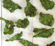 Fat free kale chips